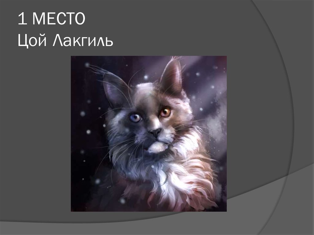 1 МЕСТО Цой Лакгиль