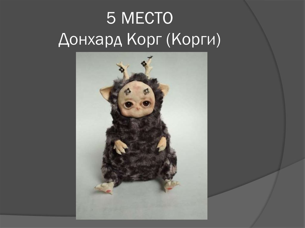 5 МЕСТО Донхард Корг (Корги)