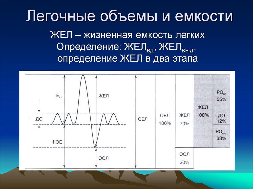 Жизненная емкость легких показатели. Легочные объемы и жизненная емкость легких. Легочной объем и легочная емкость. Жизненная емкость легких и дыхательные объемы..