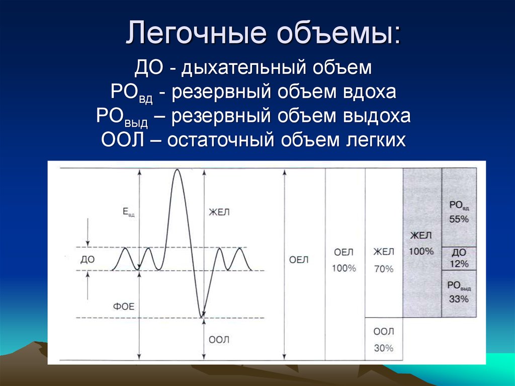 Дыхательные объемы картинка