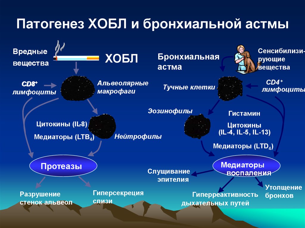 Схема патогенеза хобл