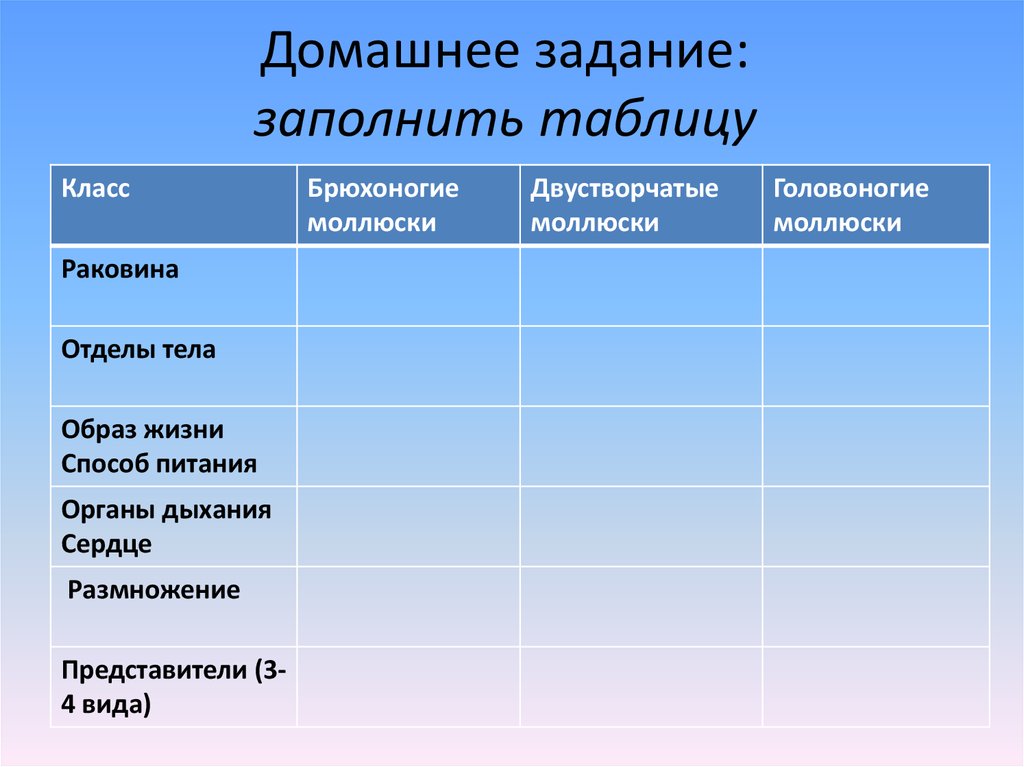 Брюхоногие моллюски таблица. Таблица классов моллюсков. Брюхоногие двустворчатые головоногие таблица. Класс брюхоногие моллюски таблица. Раковина брюхоногих двустворчатых и головоногих моллюсков таблица.