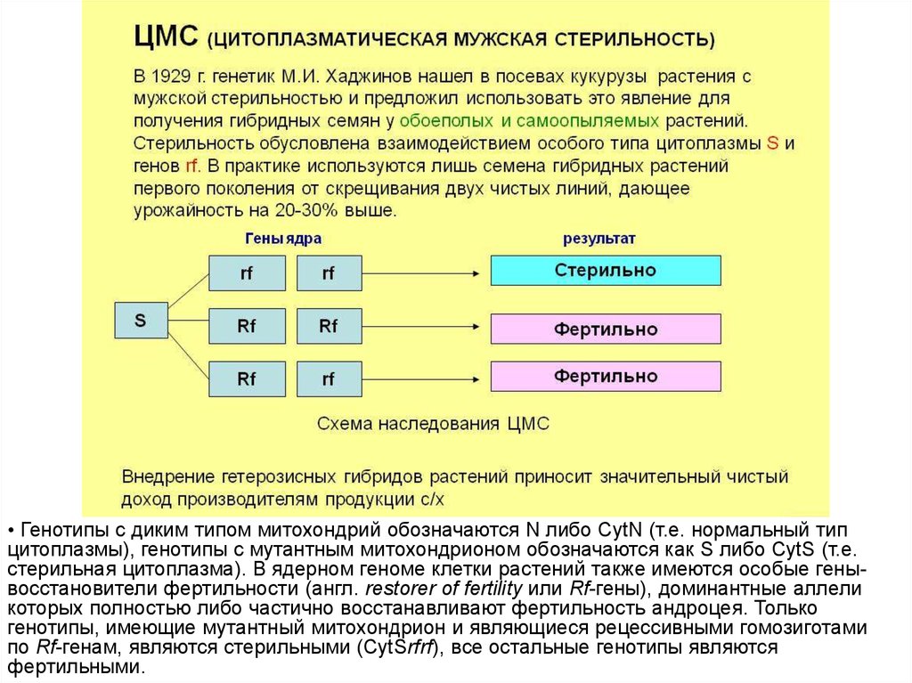 Презентация цитоплазматическая наследственность биология 10 класс