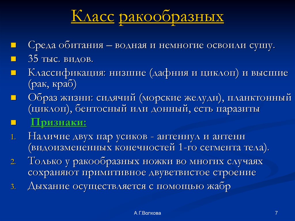 Класс ракообразных