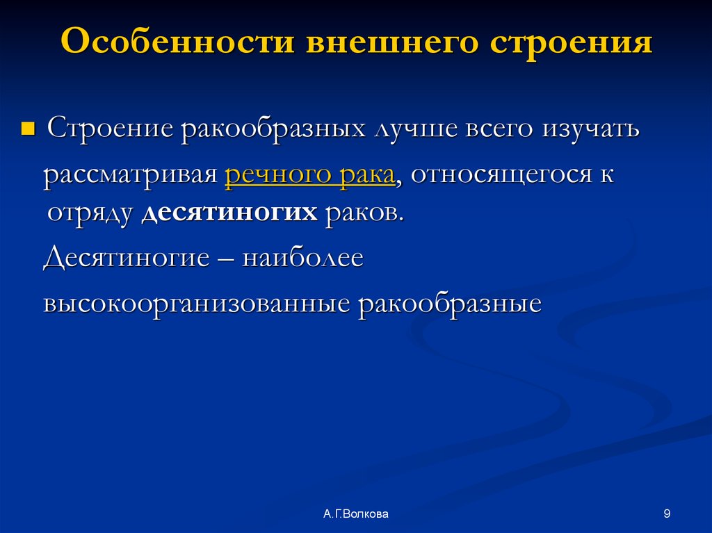 Особенности внешнего строения