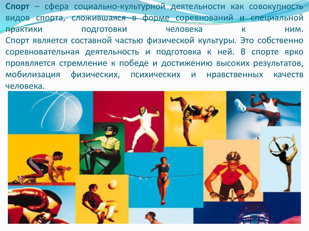 Понятие физическая культура. Физическая культура. Виды спорта. Физическая культура и спорт. Социальные функции физкультуры и спорта.
