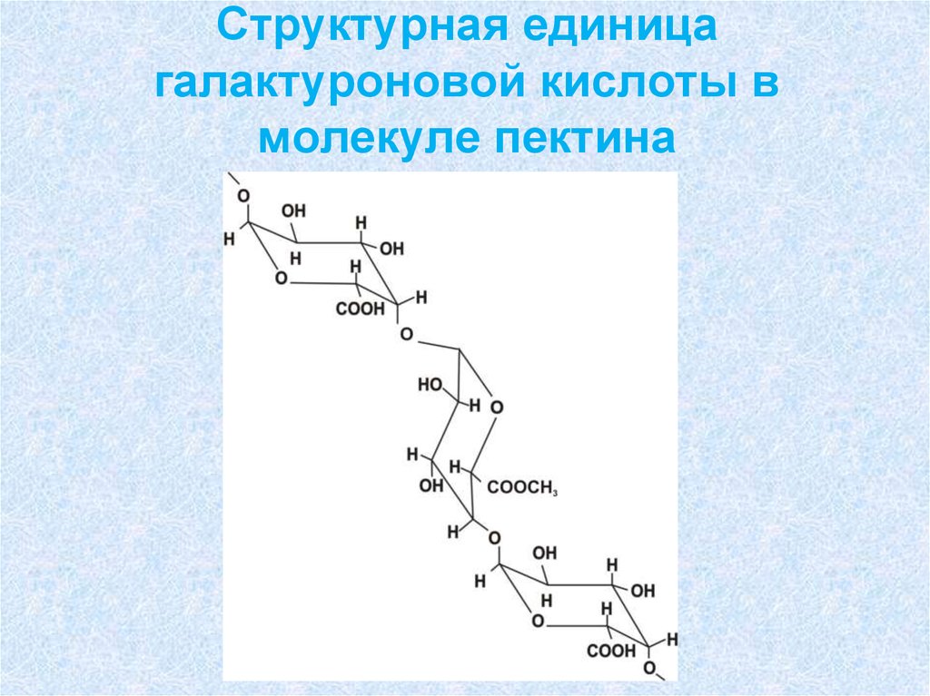 Структурная единица вещества. D-галактуроновой кислоты формула. Галактуроновая кислота структурная формула. Формула галактуроновой кислоты. Д галактуроновая кислота формула.