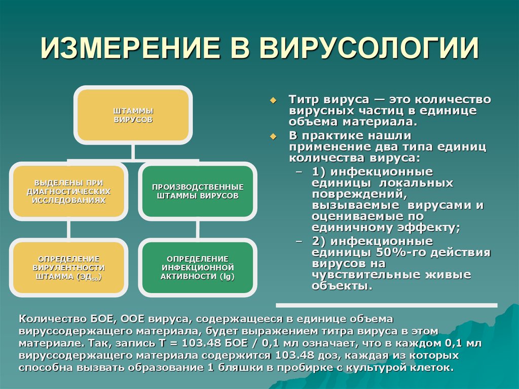 Проблемы вирусологии презентация