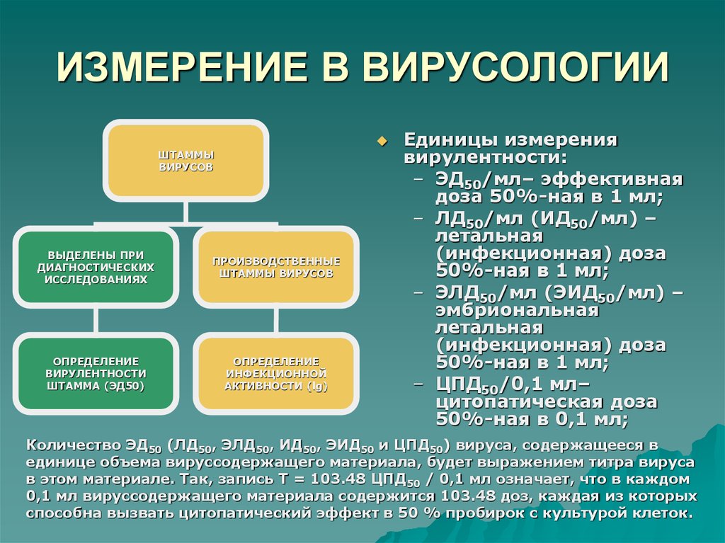 ИЗМЕРЕНИЕ В ВИРУСОЛОГИИ