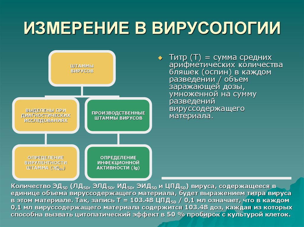 Вирусы определение микробиология. Дмитрий ивановский в 1892 открыл вирусы. Основы вирусологии. Вирусология это наука. Разделы вирусологии.