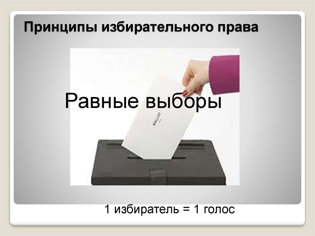 Избирательное право 10 класс презентация