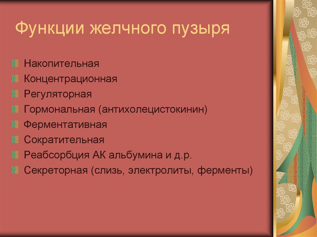 Функции желчного пузыря