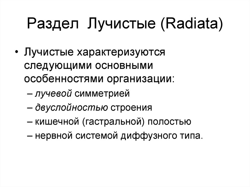 Раздел Лучистые (Radiata)