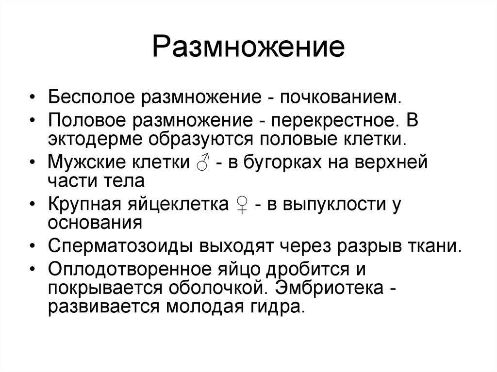 Размножение