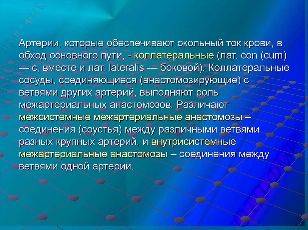 Окольный ток крови. Учение о артериях. Путями Окольного (коллатерального) тока крови. Окольный боковой путь тока крови в обход.