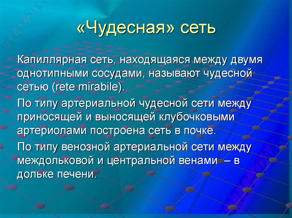 Зачем сети. Чудесная сосудистая сеть. Чудесная сеть капилляров. Чудесная артериальная сеть почки. Венозная «чудесная» сеть расположена в:.