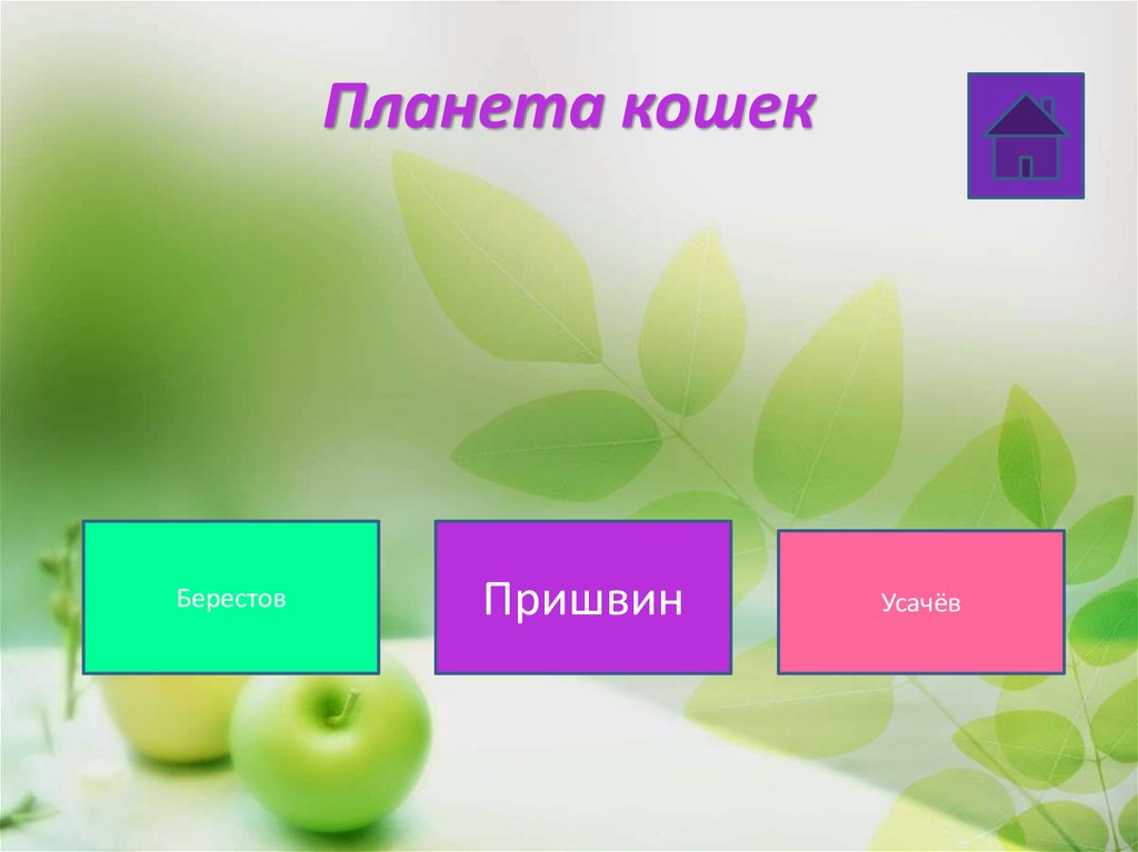 Планета кошек