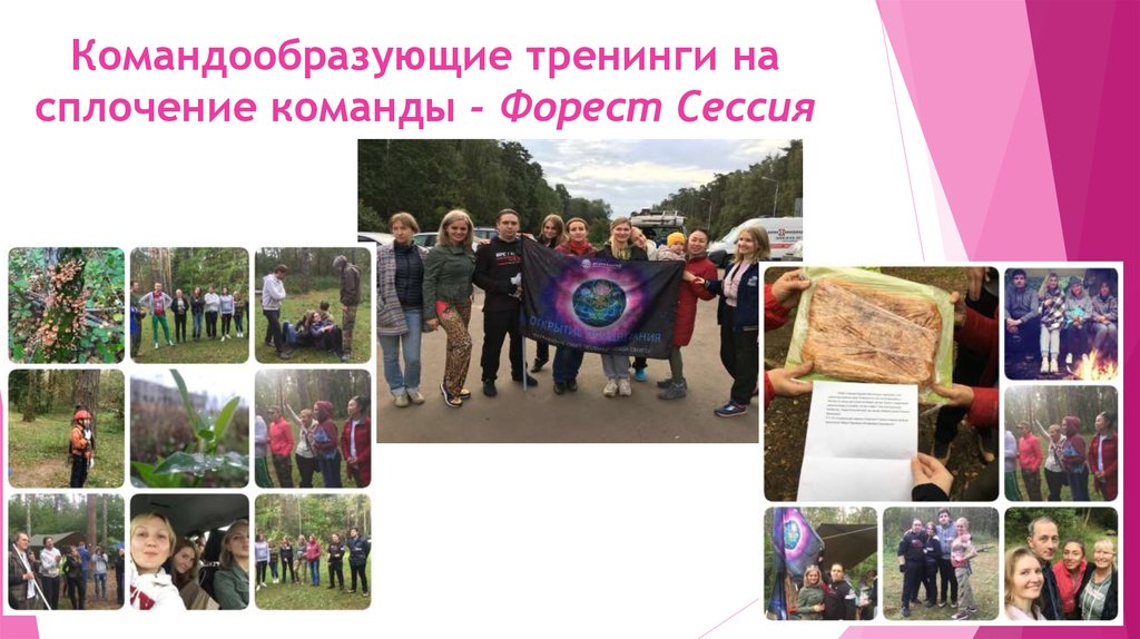 Командообразующие тренинги на сплочение команды - Форест Сессия