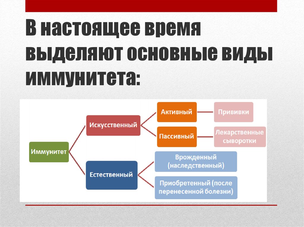 Доктрина функционального иммунитета государства. Виды иммунитета государства. Виды иммунитета государства таблица. Концепции иммунитета государства. Виды иммунитета абсолютный.