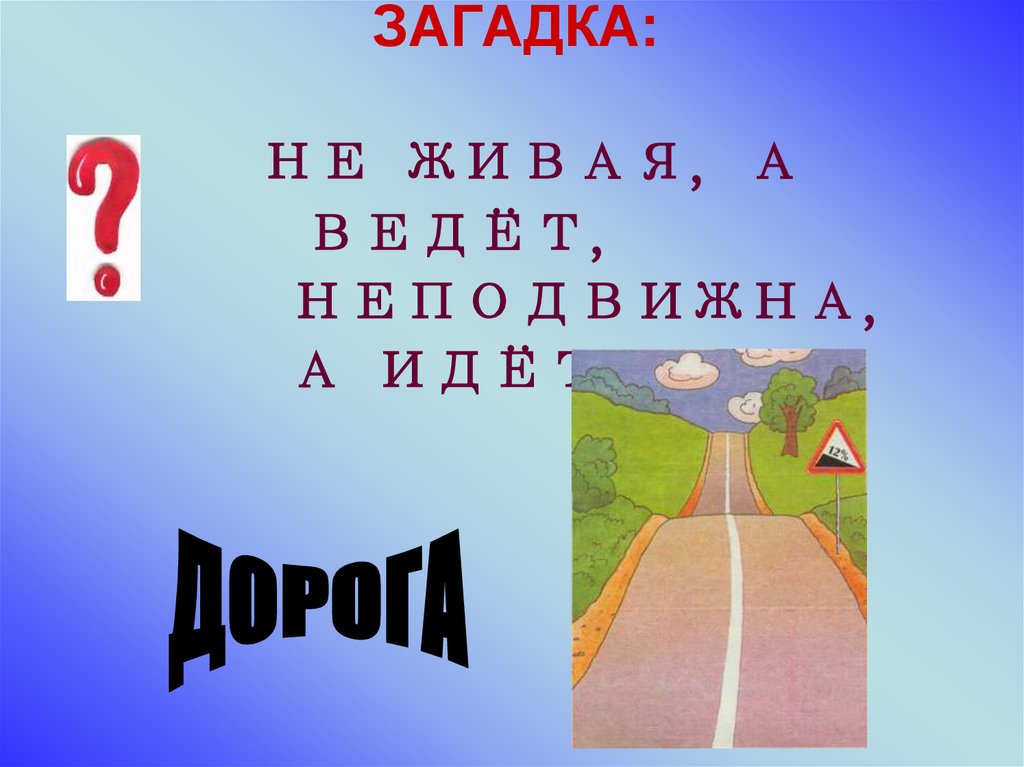 5 загадок