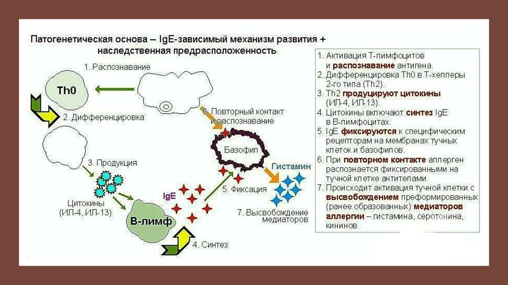 Схема лечения поллиноза