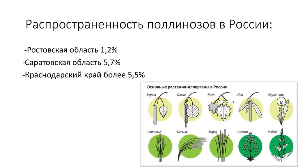 Схема лечения поллиноза