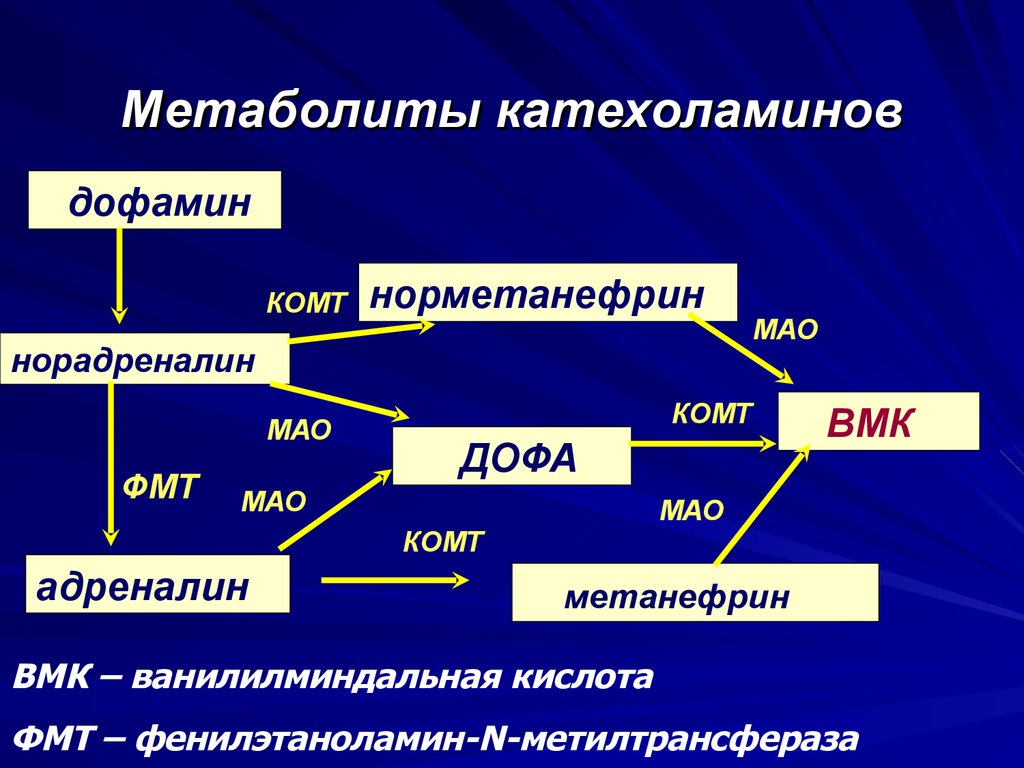 Адреналин обмен веществ. Метаболиты катехоламинов. Метаболиты катехоламинов в моче. Катехоламины классификация. Продукты метаболизма катехоламинов.