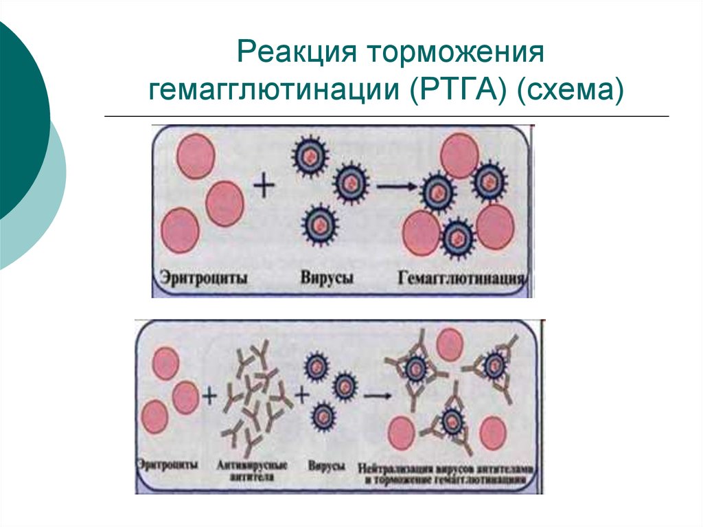 Реакция нейтрализации схема