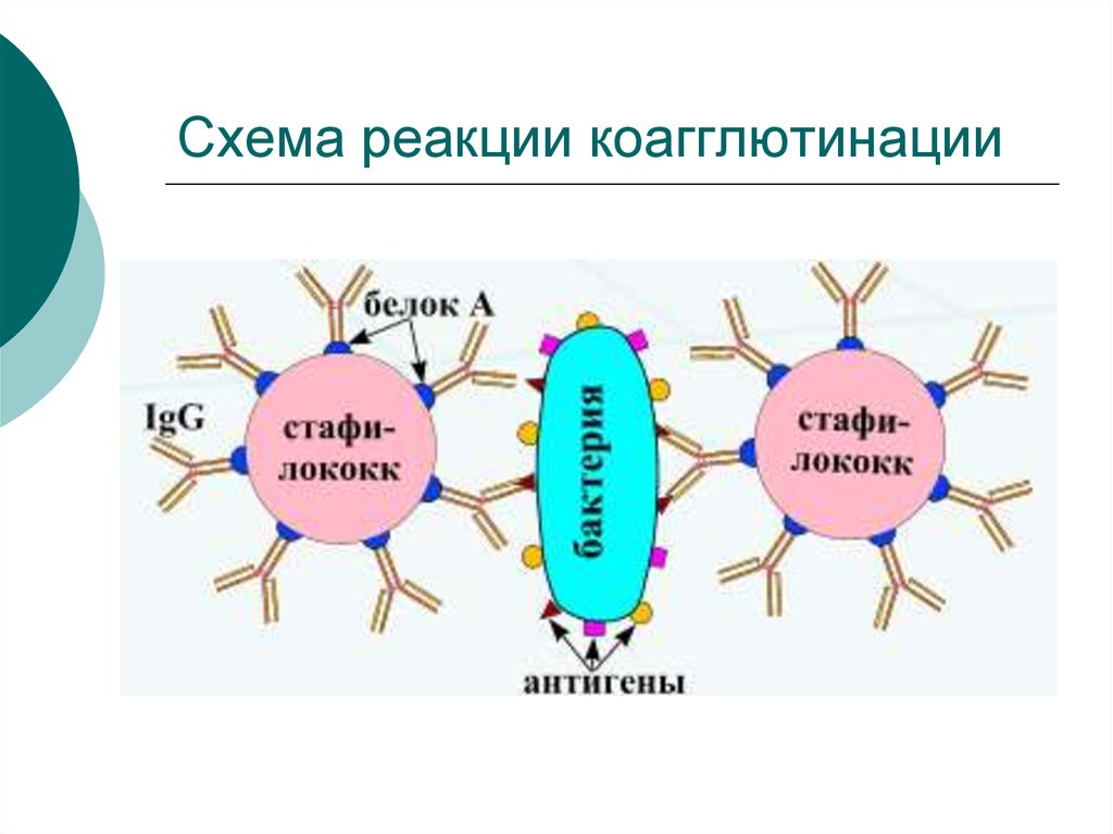 Схема реакции это