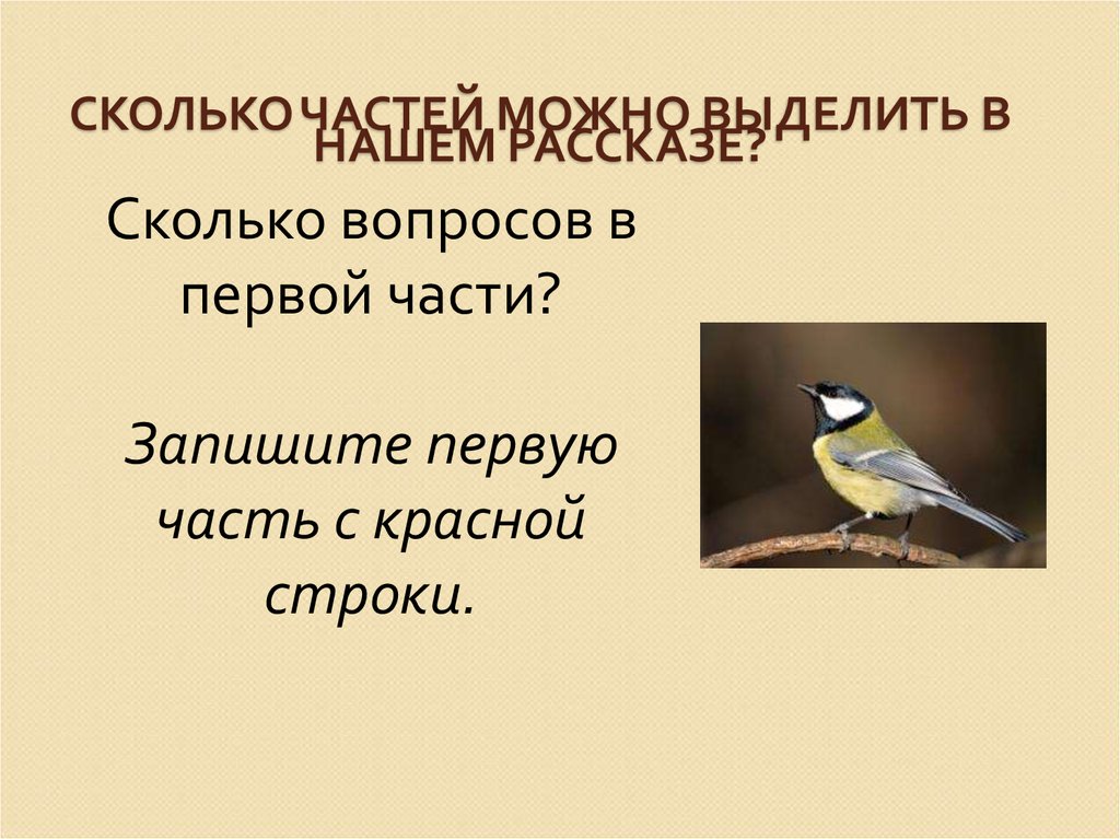 Какие можно выделить. Сколько частей в рассказе.