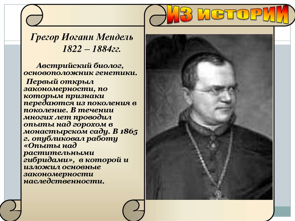 Биография менделя кратко. Грегор Иоганн Мендель(1822 – 1884). Биолог Грегор Мендель. Австрийский биолог, основоположник генетики Грегор Мендель. Грегор Мендель что открыл.