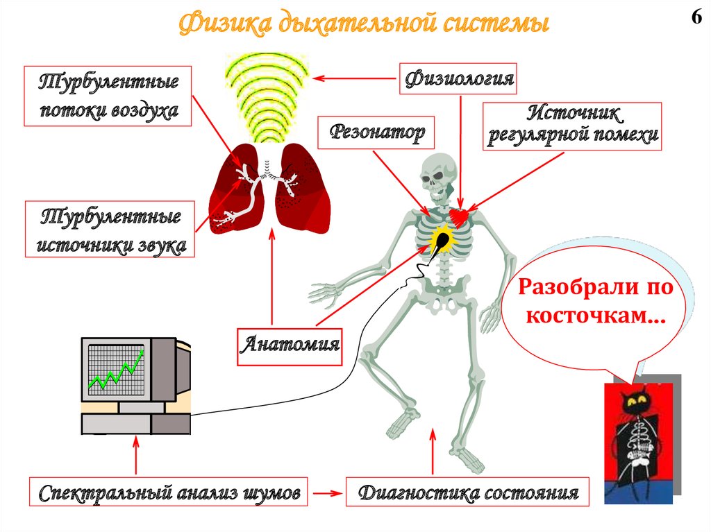 Физические основы дыхания физика презентация - 95 фото