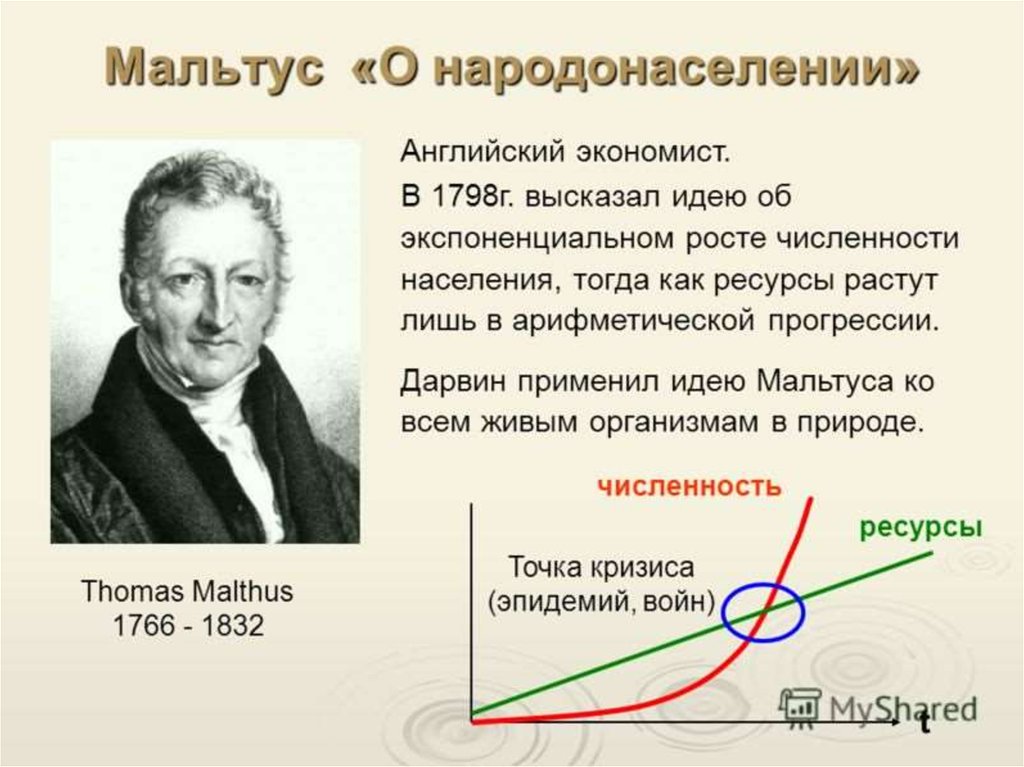 Контрольная работа по теме Теория народонаселения Мальтуса