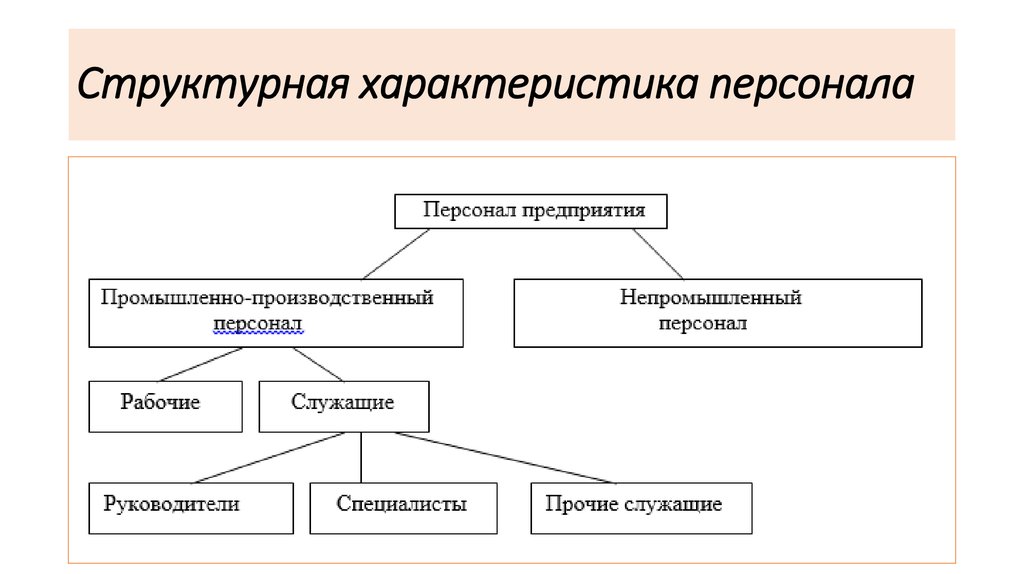 Характеристика персонала