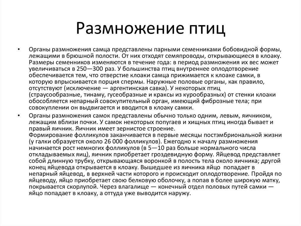 Размножение птиц. Класс птицы размножение. Физиология размножения птиц. Особенности размножения птиц.