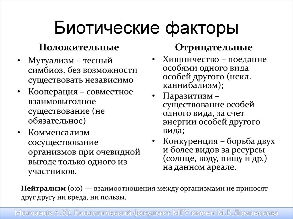 Экологические факторы - презентация к уроку Окружающий мир