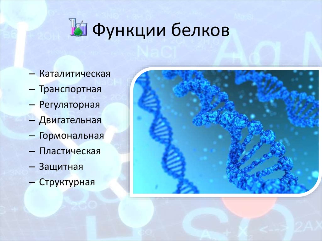 Каталитические белки примеры