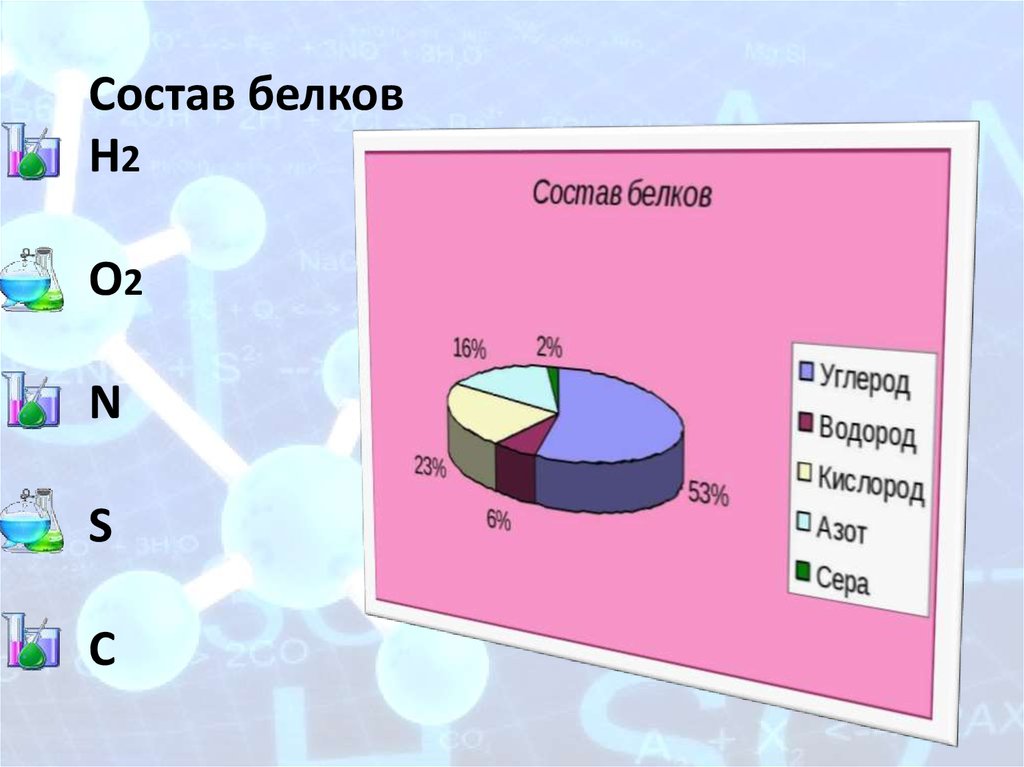 Какой состав белка