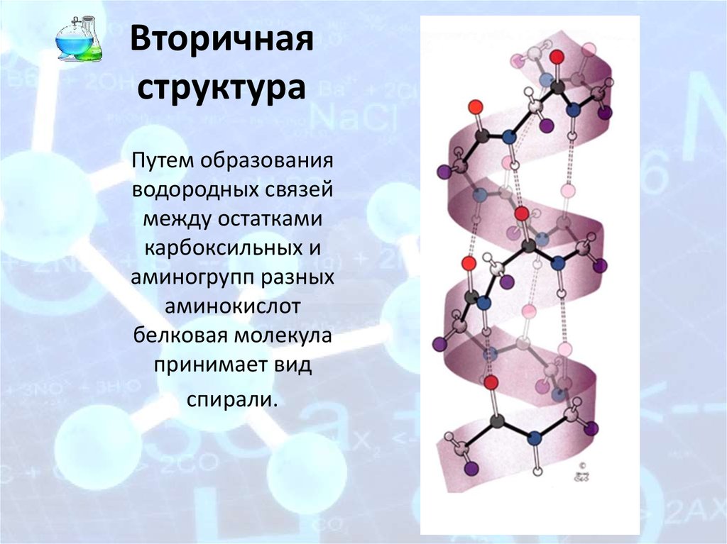 Связь поддерживающая вторичную структуру