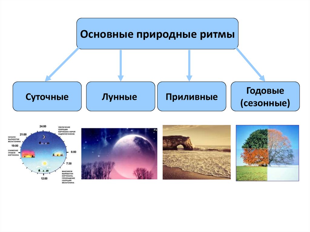 Ритмичность огэ картинка