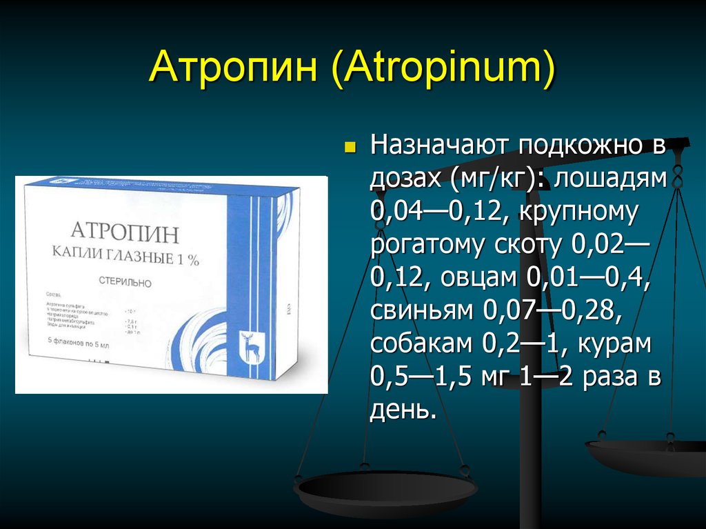 Атропин (Atropinum)