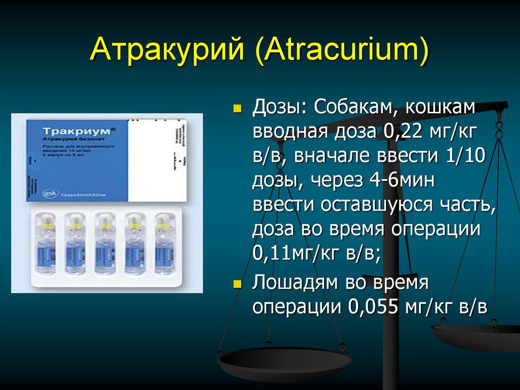 Атракурий (Atracurium)