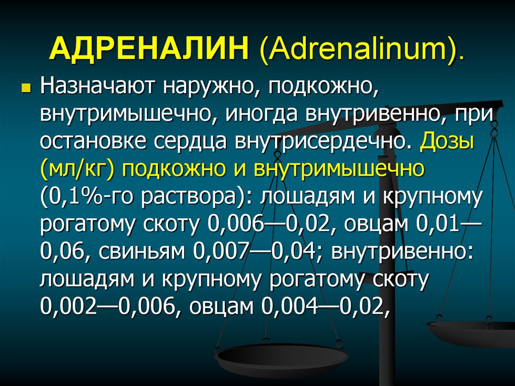 Адреналин при остановке