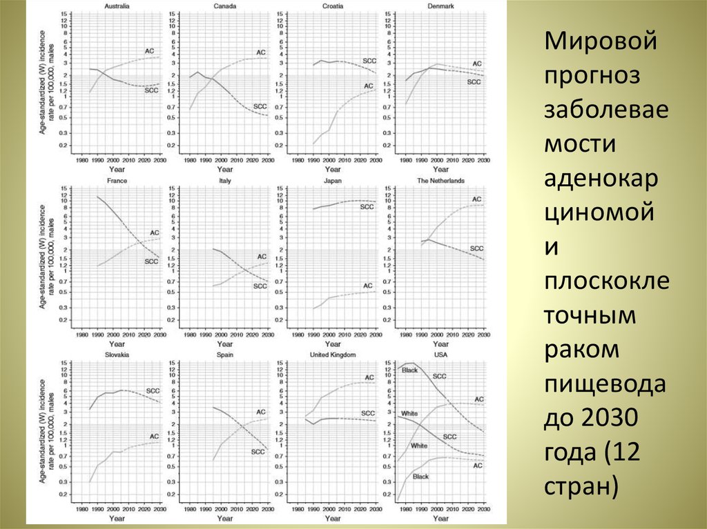Мировой прогноз заболеваемости аденокарциномой и плоскоклеточным раком пищевода до 2030 года (12 стран)
