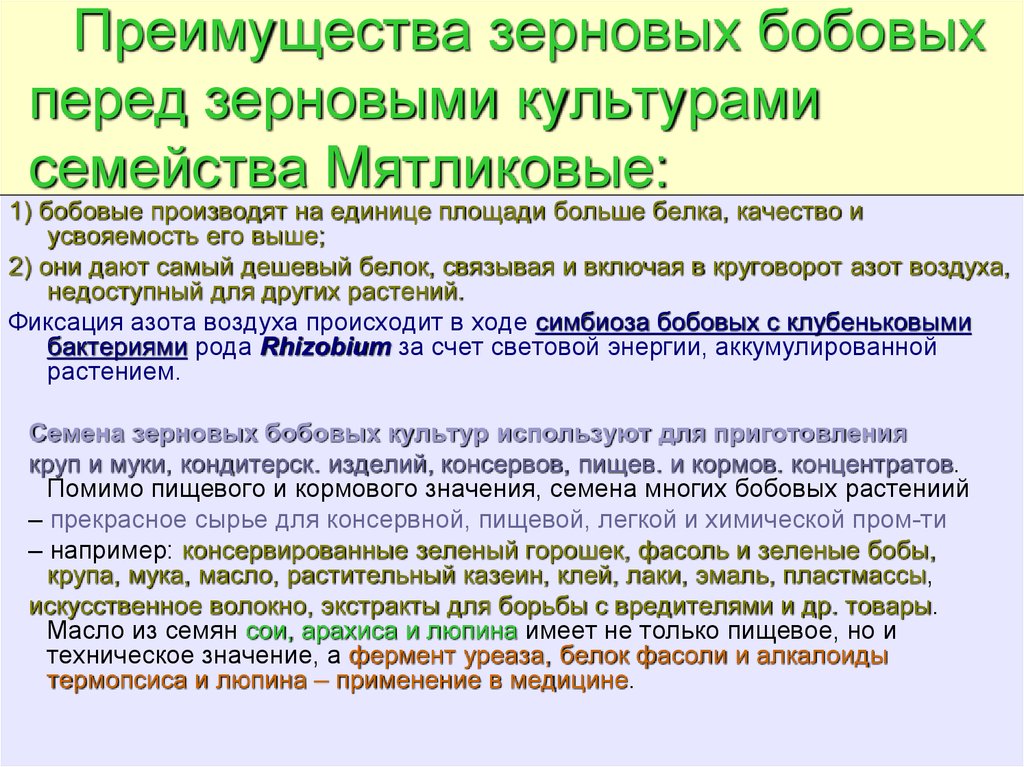 Значение бобовых. Преимущества и недостатки зерновых бобовых культур. Значение бобовых культур. Хозяйственное значение бобовых. Недостатки бобовых.