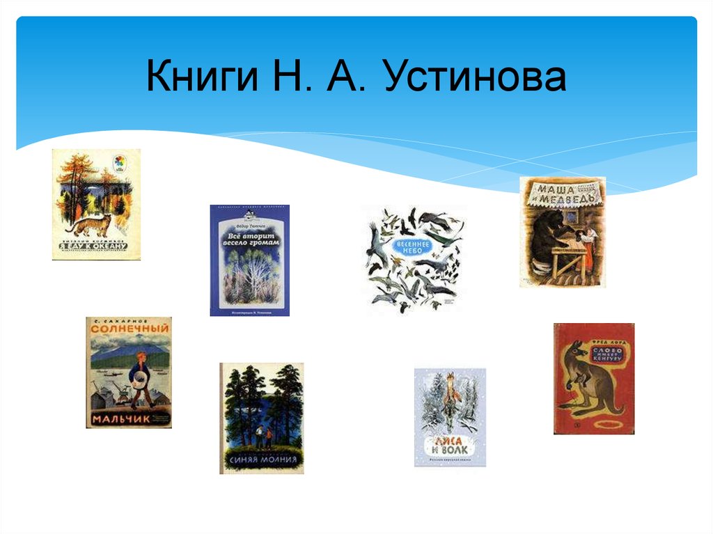 Книги Н. А. Устинова
