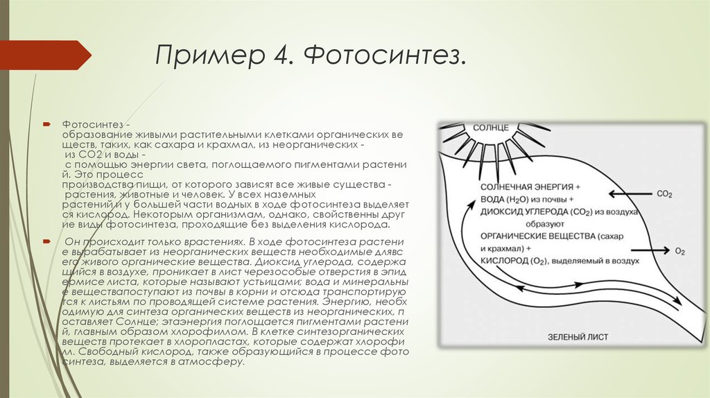 Кислород выделяется в результате