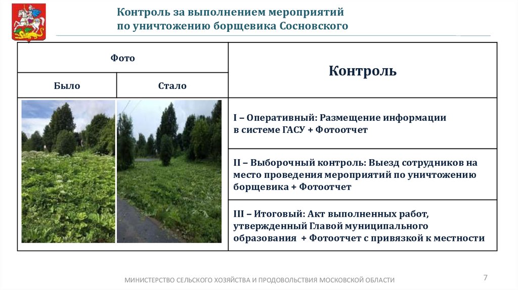 Карта борщевика ленинградской области