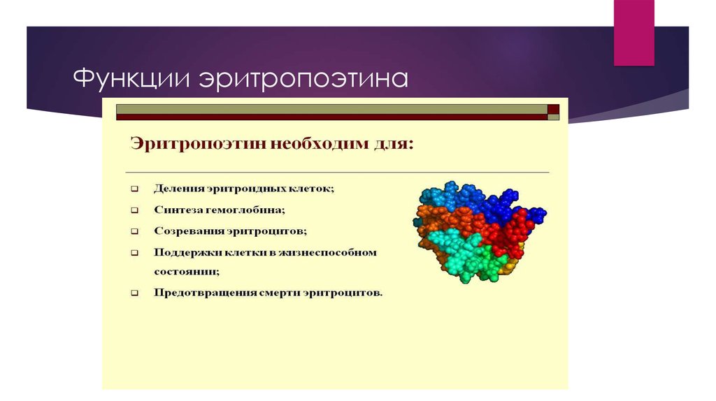 Эритропоэтин функции. Эритропоэтин функции гормона. эритропоэтин клетки мишени. физиологическая роль эритропоэтина.