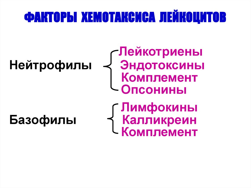 Факторы хемотаксиса. Факторы хемотаксиса лейкоцитов. Фактор хемотаксиса нейтрофилов. Эмиграция и хемотаксис лейкоцитов.